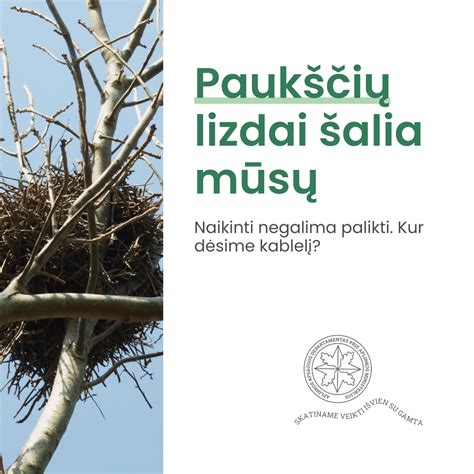 Paukščiai, lipdantys lizdus iš seilių