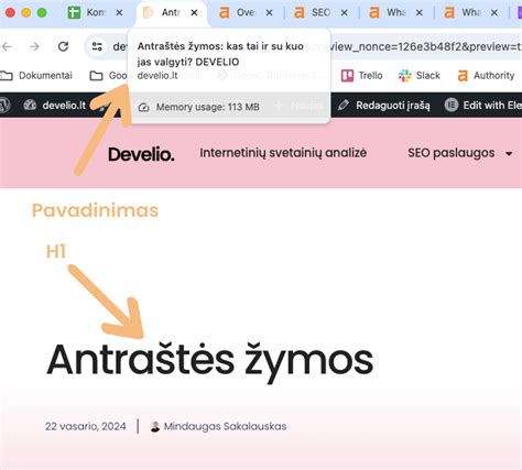 Pikselio žymos (Pixel Tag) pavyzdys ir jo funkcija