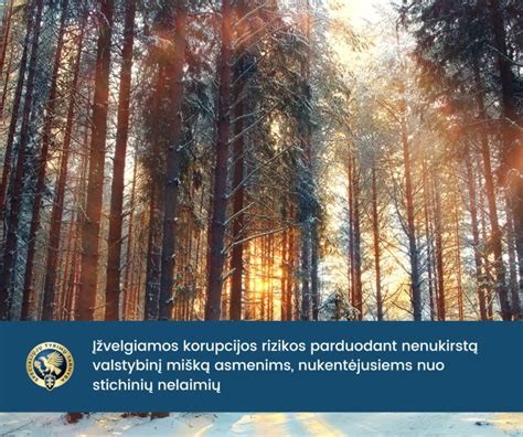 Sąlygos, reikalaujančios specialiųjų pertraukų