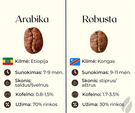 Kavos torto istorija ir evoliucija