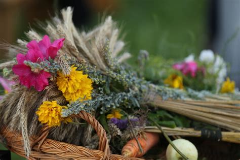 Žolinės šventė su kopūstais