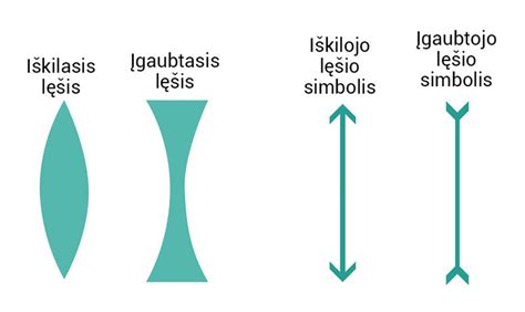 Lęšiai ir burnočiai