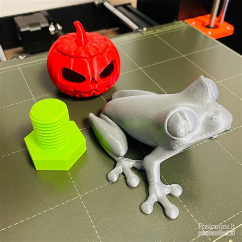 Mokinių darbas su 3D spausdintuvu