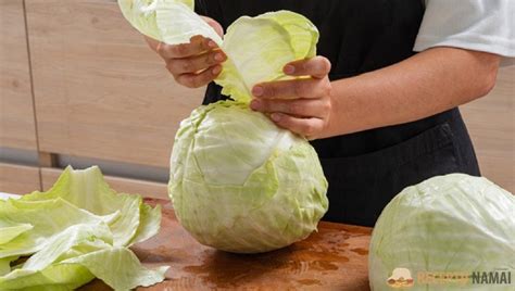 Procesas kaip rauginti kopūstus