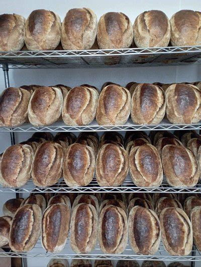 Sourdough duona su traškia pluta