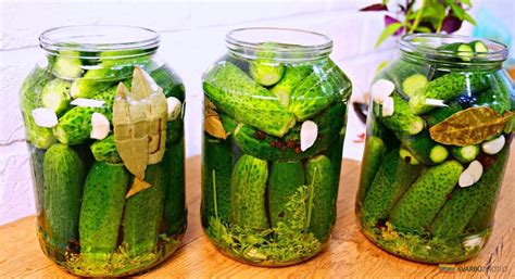 Raugintų agurkų paruošimo procesas