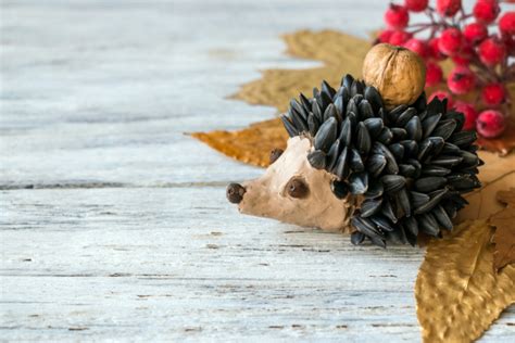 Sumuštinių ežiukas iš daržovių