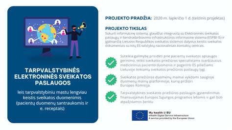 Elektroninės sveikatos sistemos sąsajos pavyzdys