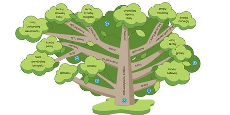 indoeuropiečių kalbų šeimos medis