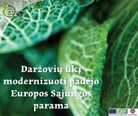 Daržovių kepinimo procesas agurkinėje sriuboje