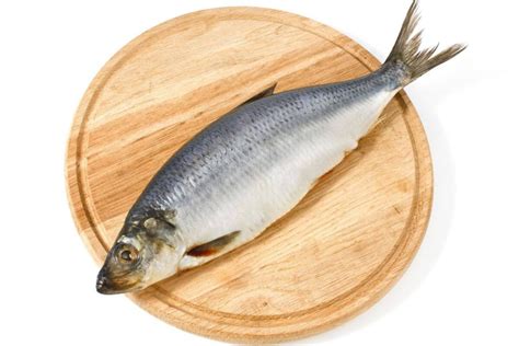 Šviežios silkės nuotrauka