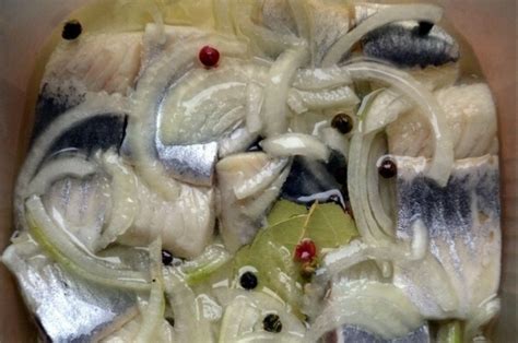 Procesas silkės marinavimo