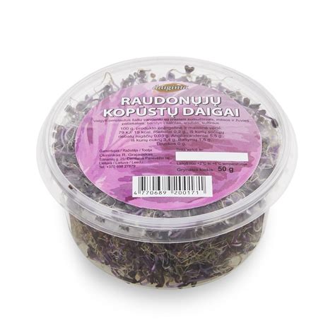 Kopūstų daigai paruošti pikavimui