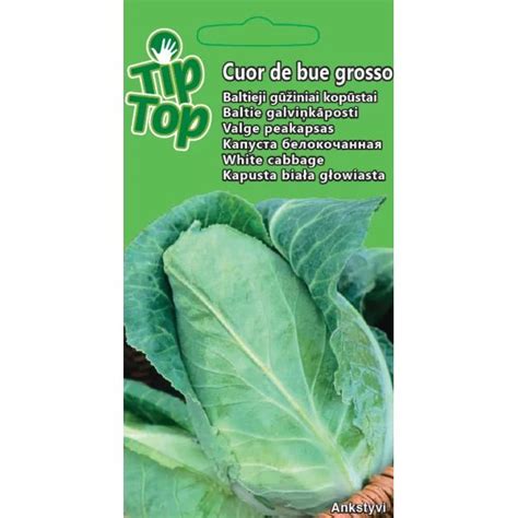 Baltųjų gūžinių kopūstų „Cuor di Bue Grosso“ gūžės