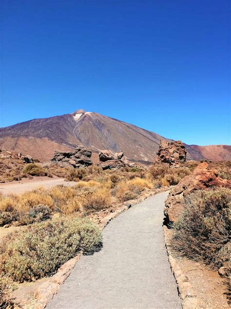Tenerifės vaizdas su Teidės ugnikalniu