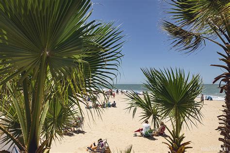 Saulėtos dienos Andalūzijoje