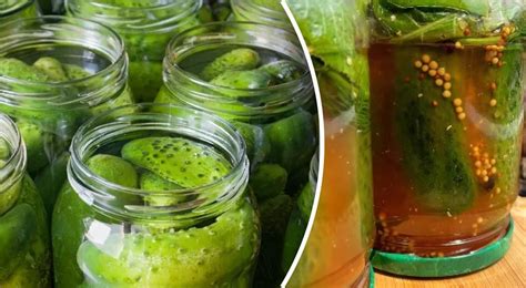 Paruošti marinuoti agurkai