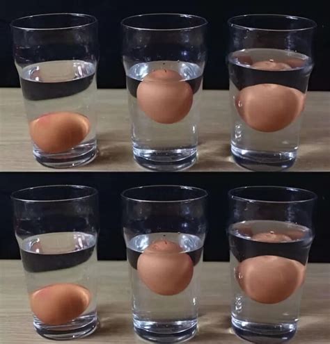 Kiaušinio plūduriavimo testas vandenyje