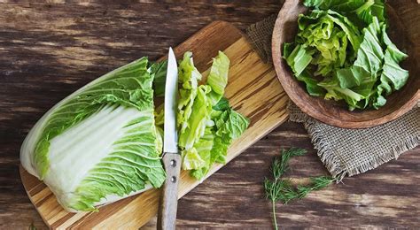 Sveiki ir pažeisti kopūstų lapai