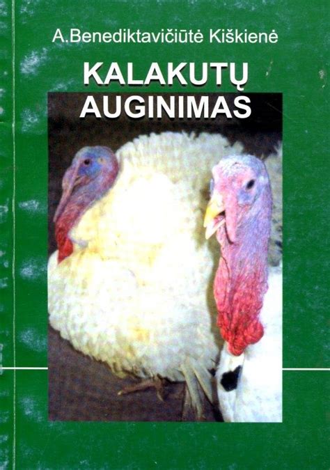 Istorinė kalakutų auginimo iliustracija