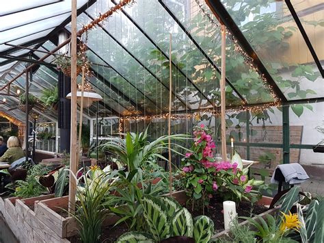 Restorano Panama Food Garden šiltnamis ir apželdinta terasa
