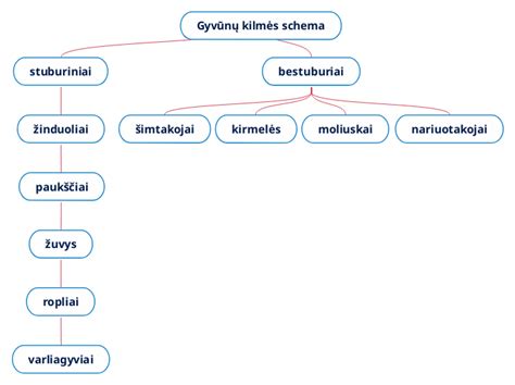Istorinė Kijevo kotletų kilmės schema