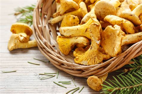 Šviežios voveraitės ir kitos daržovės troškiniui