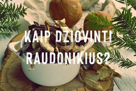 Džiovinti raudonviršiai žiemai