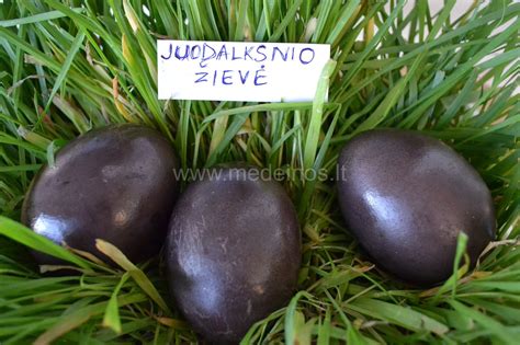 Margučiai, nudažyti medžio žieve ir riešutmedžio kevalais