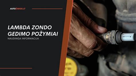 Kiaušinių gedimo požymiai