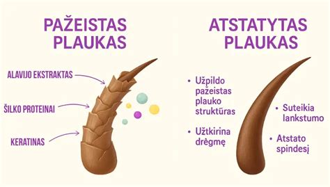 Rūkyklos sandaros schema