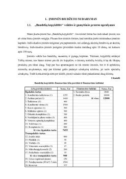 Įmonės veiklos statistika
