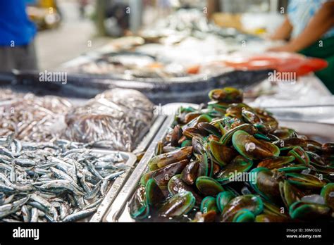 Fresh mussels on ice in a market