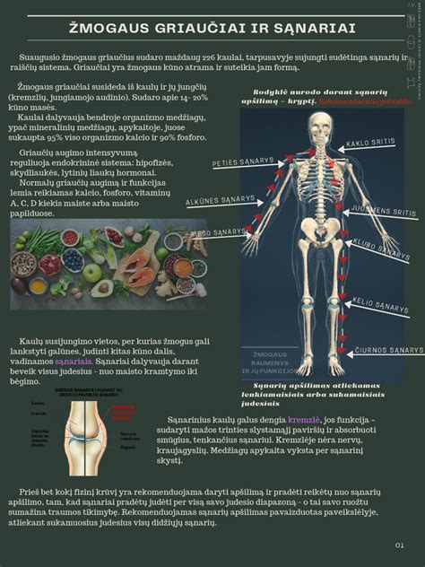 Gofrex vanilinių keksiukų mišinio ingredientų sąrašas ir jų funkcijos