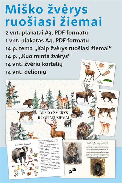 Miško gyvūnai ruošiasi žiemai