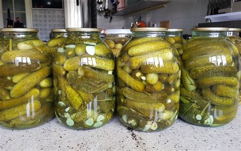 Įvairūs prieskoniai ir žolelės marinuotiems agurkams