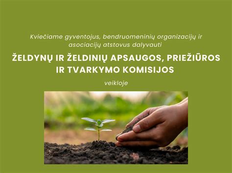 Čija sėklų istorija ir augimo vietos