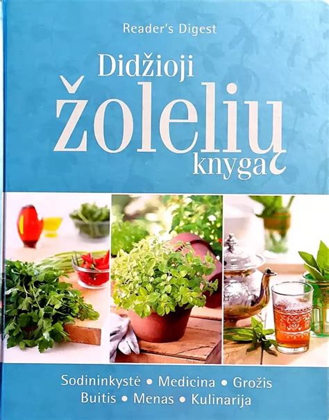 įvairūs švieži žolelių pagardai sriubai