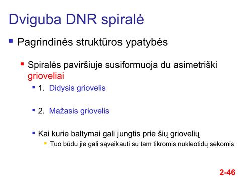 DNR spiralės schema