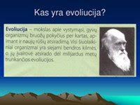 Čarlzo Darvino portretas ir evoliucijos medžio iliustracija