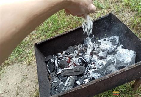 šašlykų kepimas ant karštų medžio anglių