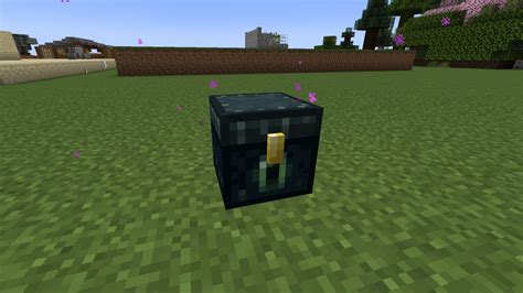 Minecraft požemių skrynia