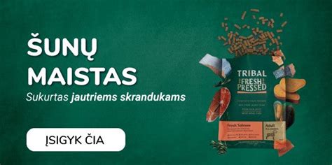 Laimingas šuo besimėgaujantis maistu gamtoje