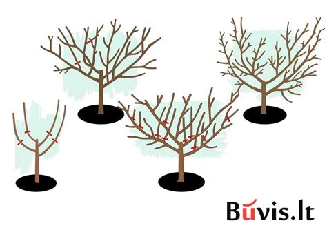 Schema: Kaip teisingai tepti hidrokortizono tepalą