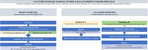 Prašymo teikimo būdų schema