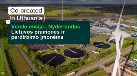 Lietuvos perdirbimo pramonės produkcija