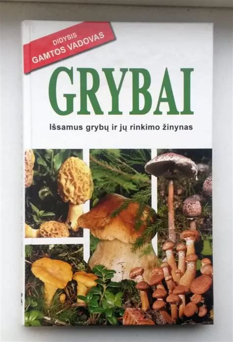Įvairūs grybų padažai ir jų pritaikymas