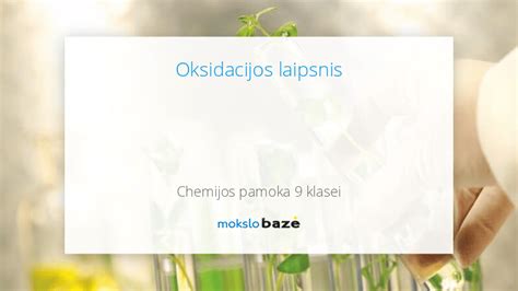 Schematinis lipidų oksidacijos procesas mėsoje