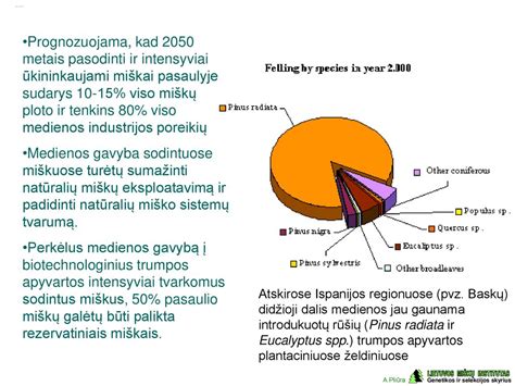 Rūkymo medienos rūšių pavyzdžiai