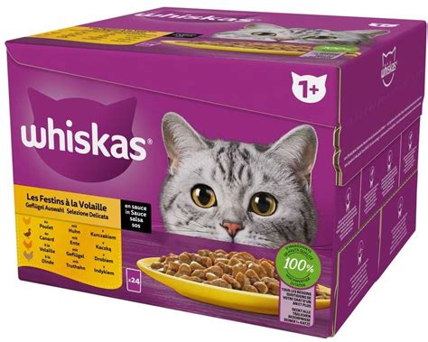 šlapias kačių maistas